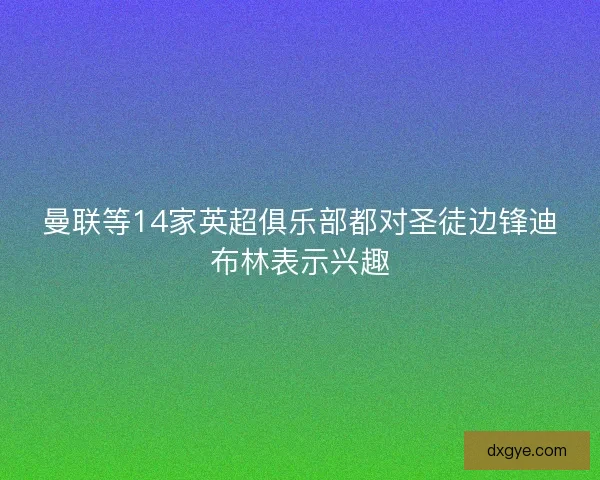 曼联等14家英超俱乐部都对圣徒边锋迪布林表示兴趣